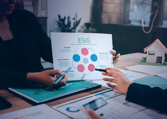 ESG Leadership Certification Workshop - 2 Days