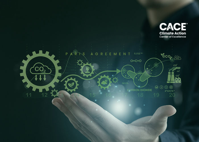 CACE Training Series: Module 1 — Understanding Article 6 of the Paris Agreement