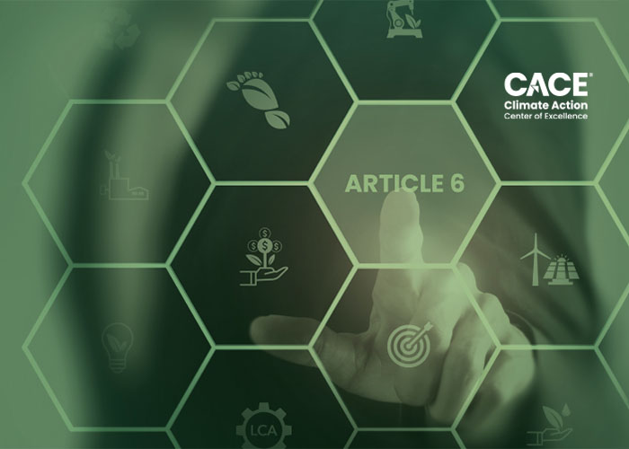CACE Training Series: Module 3 — Institutional Frameworks and Responsibilities for Article 6