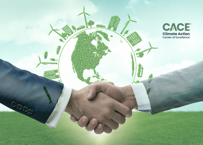 CACE Training Series: Module 4 — Activity Cycle of a Mitigation Activity
